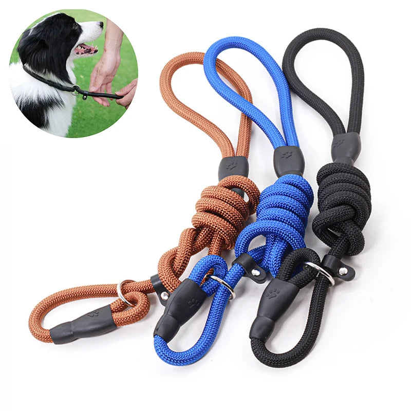 Dog Training Leash
