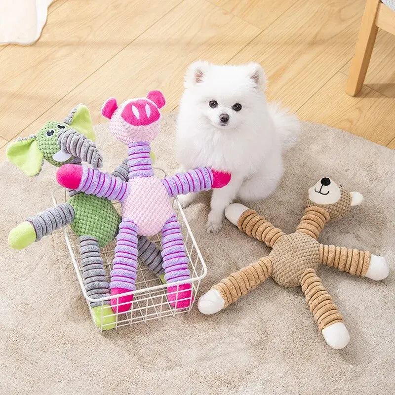 Pet Care Team