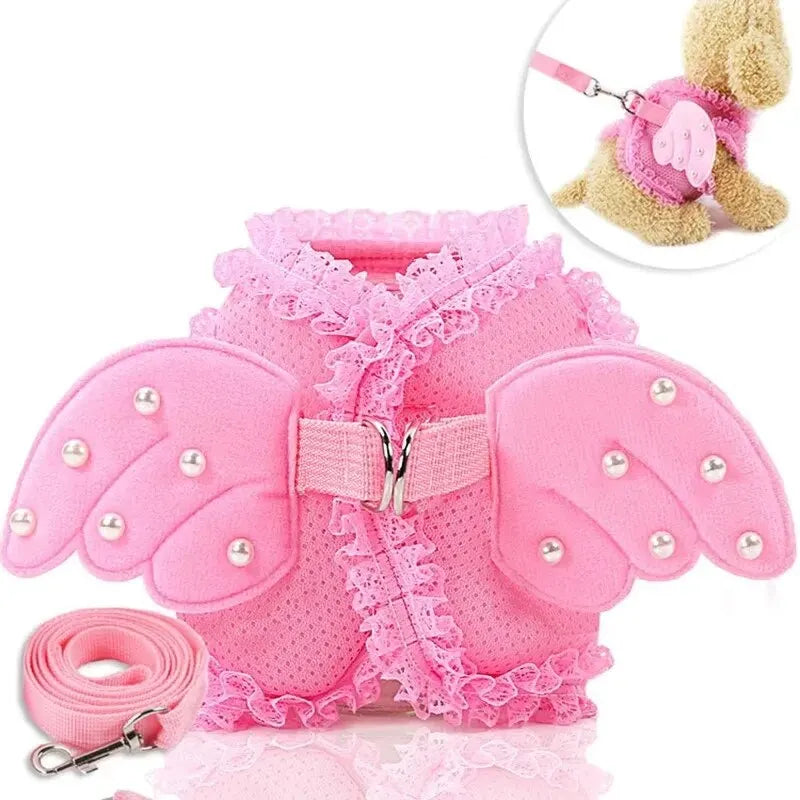 Clothing & Accessories