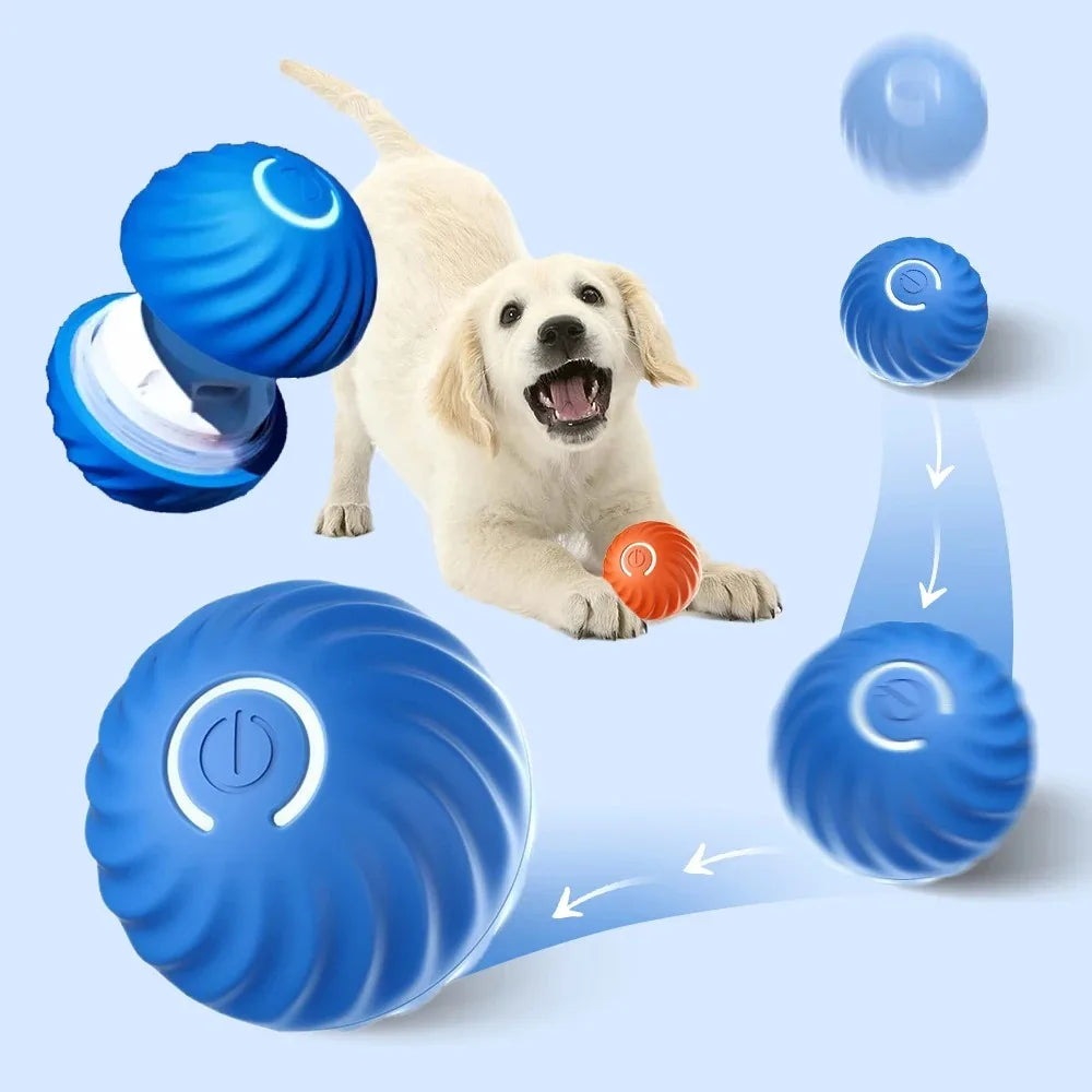 Gravity jump ball pet electric automatic dog teaser rolling ball dog toy bite resistant elastic ball to relieve stress
